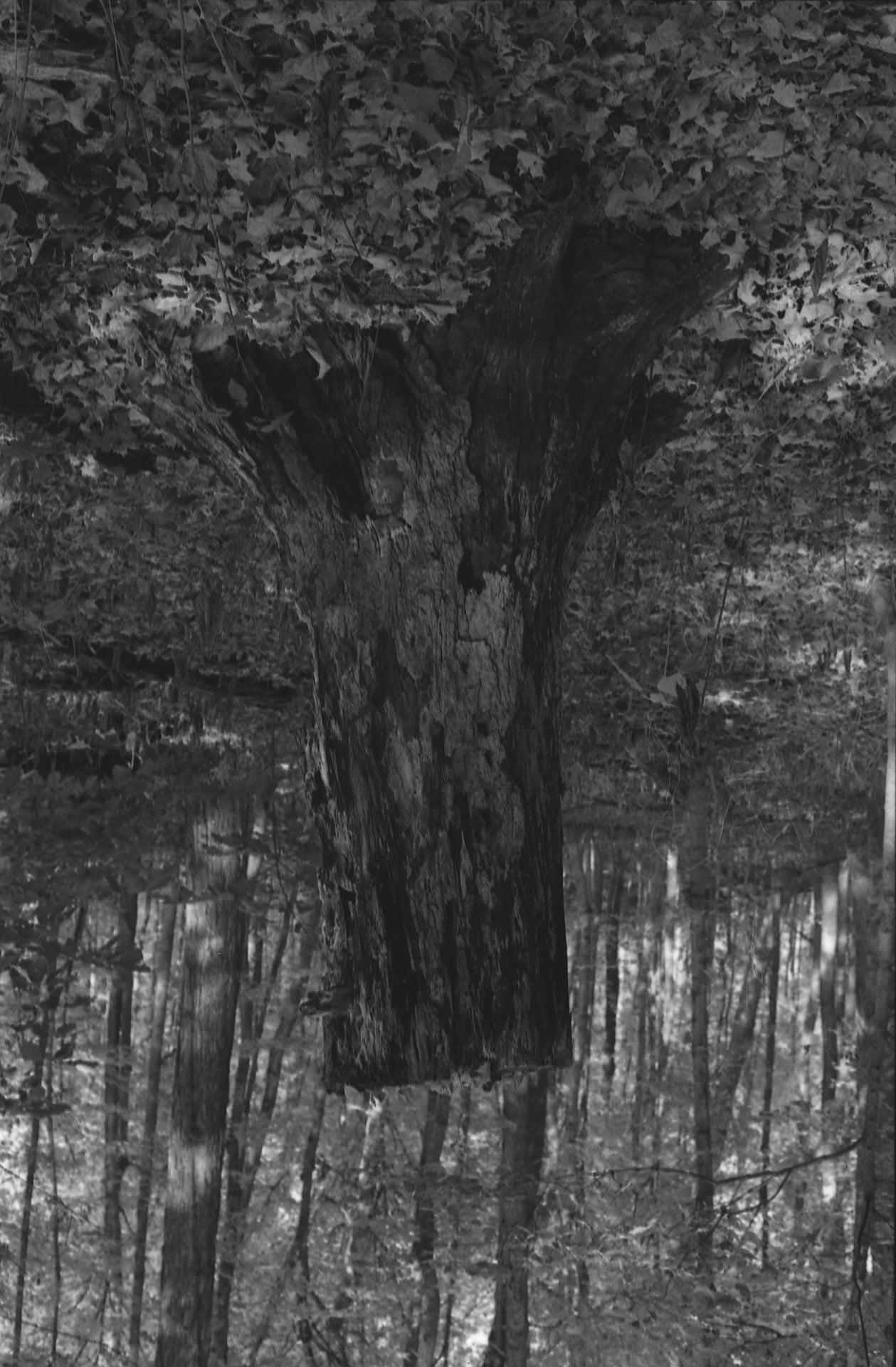 Pressure Studies - 4 Print Set