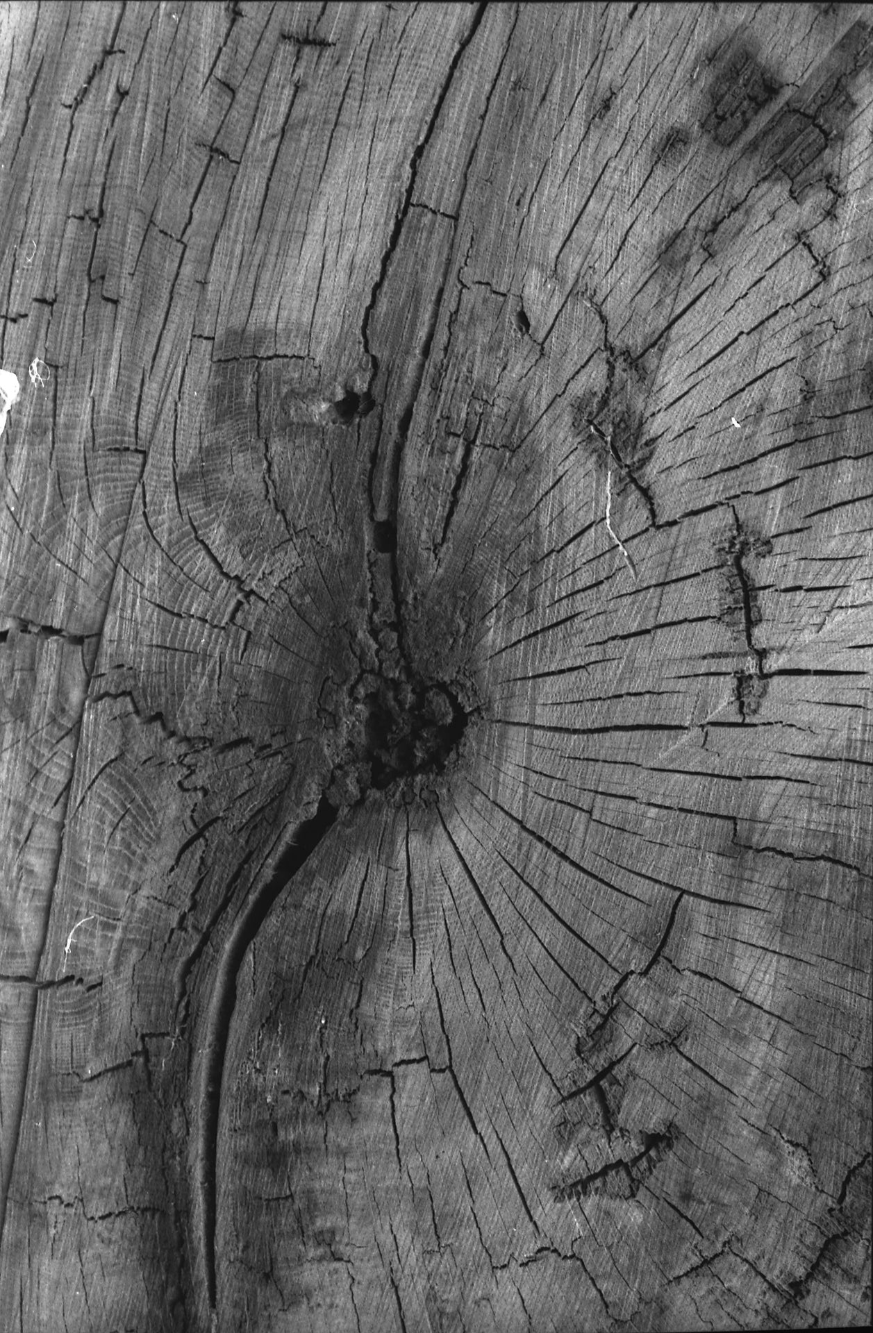 Pressure Studies - 4 Print Set