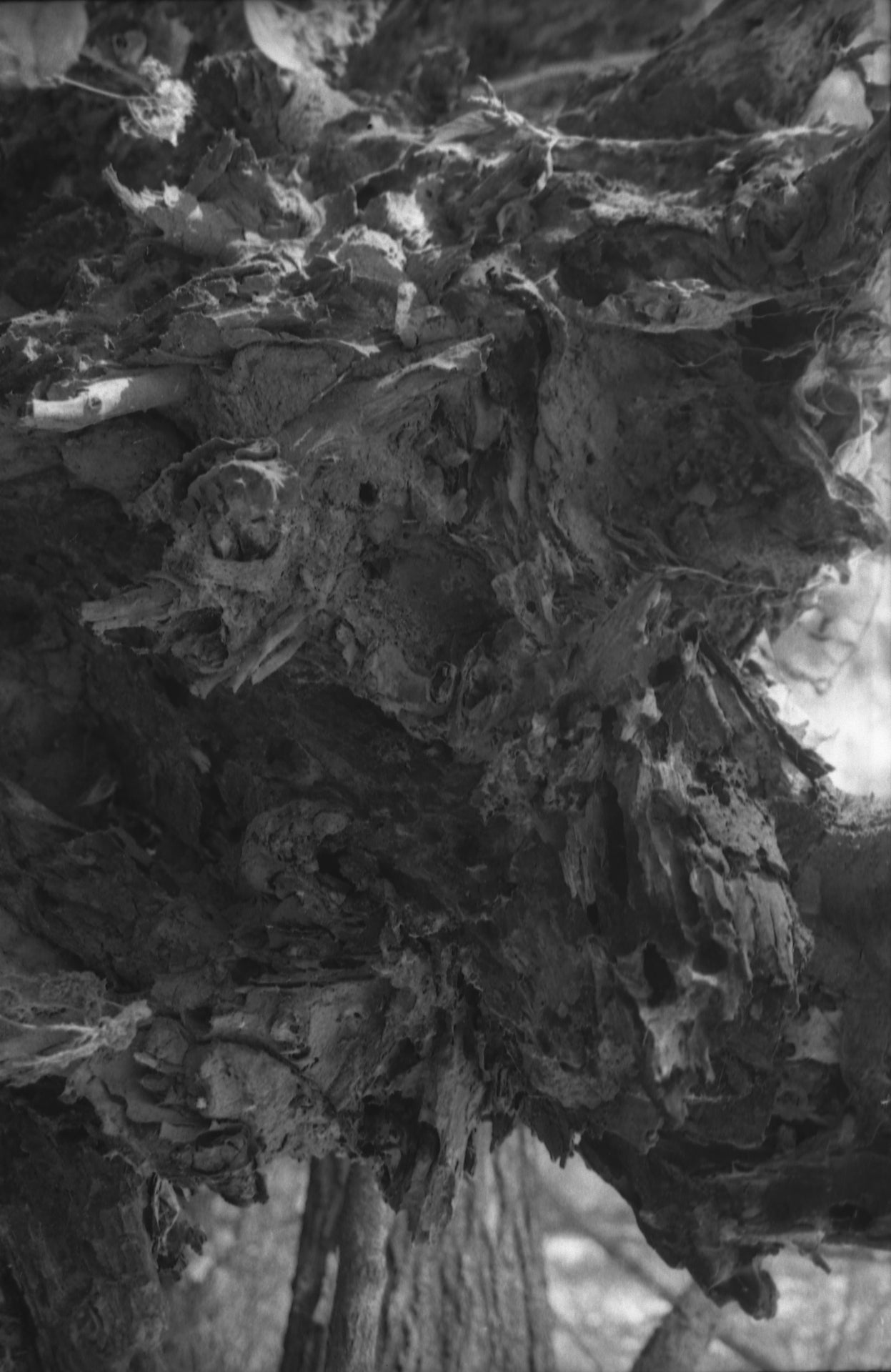 Pressure Studies - 4 Print Set